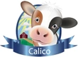 Calico Logo